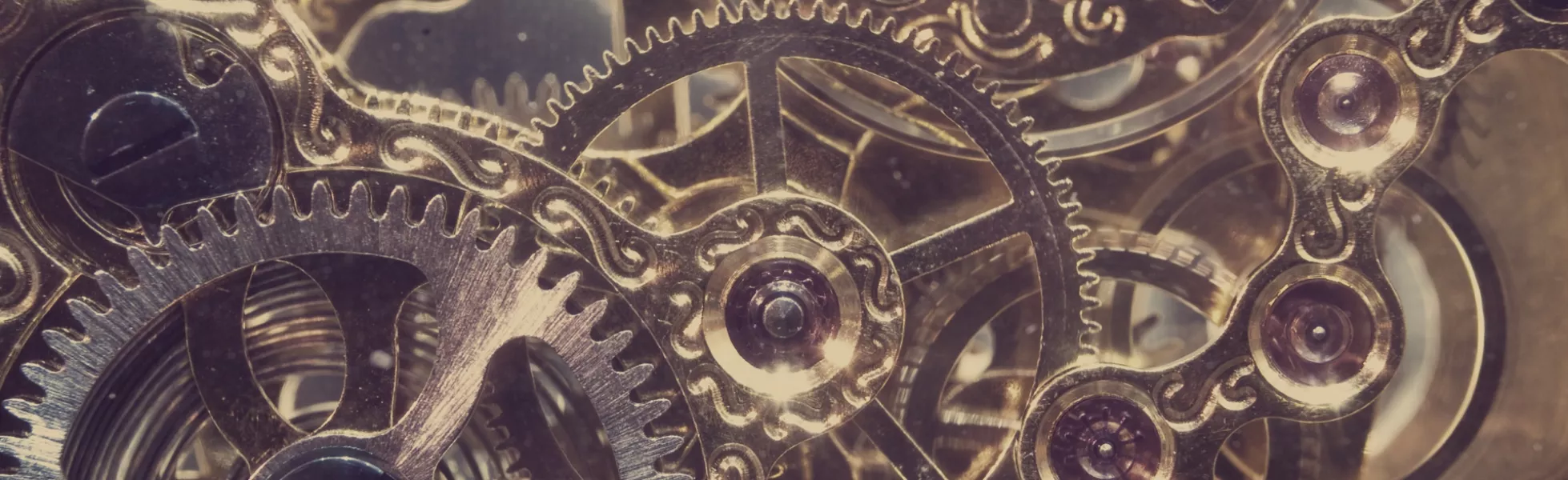 Unternehmensberatung in Sachen Organisationsentwicklung